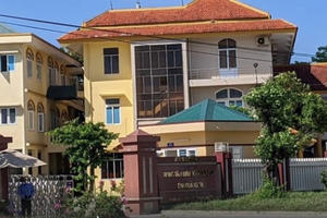 Kit xét nghiệm được tặng để hết hạn nhưng CDC Quảng Trị lại mua kit xét nghiệm của Việt Á