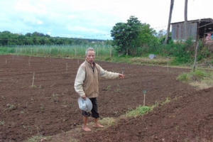 Gia Lai: Quyền sử dụng mảnh đất của cha già bất ngờ bị huỷ khi đưa con ra toà