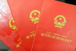 Luật Đất đai 2024 quy định những trường hợp nào không được cấp sổ đỏ? Luật Đất đai 2024 quy định những trường hợp nào không được cấp sổ đỏ?