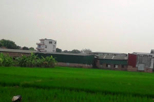 Hoài Đức, Hà Nội: Hàng loạt nhà xưởng “khủng” ngang nhiên mọc trên đất nông nghiệp