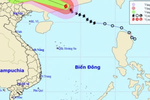 Bão đổ bộ đất liền Trung Quốc, Việt Bắc - Tây Bắc... mưa to