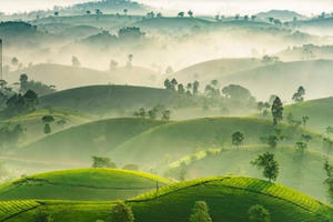 17 khoảnh khắc nhiếp ảnh khiến người xem yêu mến Việt Nam