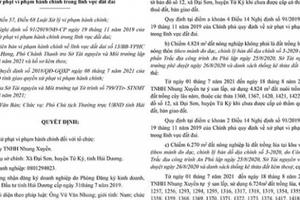 Hải Dương: Xử phạt Công ty Nhung Xuyến 170 triệu đồng do tự ý san lấp, sử dụng đất nông nghiệp