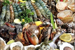 Hải sản đứng đầu bảng về chứa chất cấm, kháng sinh