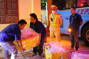 Nghệ An: Thu giữ hơn 300 kg sản phẩm động vật bốc mùi hôi thối "ngụy trang" trên xe khách