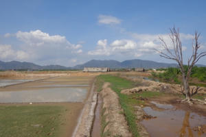 Kỳ 6: Tỉnh Bà Rịa - Vũng Tàu chỉ đạo làm rõ những nội dung Pháp luật Plus phản ánh