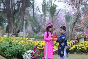 Hà Nội:  Rực rỡ sắc màu cùng lễ hội hoa xuân…