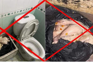 Thực hư thông tin vịt có giòi để cạnh bồn cầu ở thị xã Đông Triều