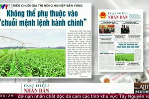 Điểm báo 2/12: Phá rào, mở quán dọc cao tốc Nội Bài - Lào Cai