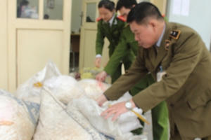 Hàng tấn ngó sen bốc mùi "suýt" lên bàn ăn người Hà Nội