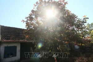 Thời tiết ngày 24/8: Vùng núi Bắc Bộ mưa to, Trung Bộ nắng nóng