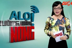 Bắt tiếp 1,2 tấn nầm lợn thối, rữa