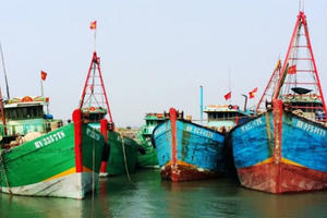 Thiếu lao động, tàu các nằm bờ hàng loạt