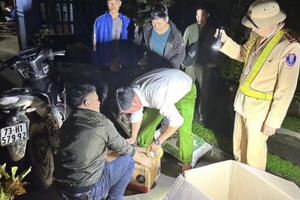 Quảng Trị: Bắt giữ nam thanh niên vận chuyển 60kg thuốc nổ