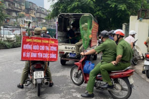 Thành lập 14 đội bắt chó thả rông tại Hà Nội