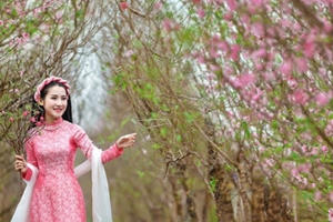 Dự báo thời tiết 12.2: Mùng 1 Tết, Bắc Bộ sáng sương mù ngày nắng ấm