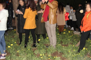 Sửng sốt với dòng người tàn phá vườn hoa hồ Gươm đêm giao thừa