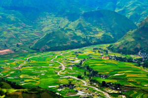 Quy chế hoạt động Hội đồng điều phối vùng trung du và miền núi phía Bắc