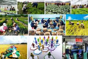 Quy định mới về thành lập Quỹ hợp tác xã địa phương