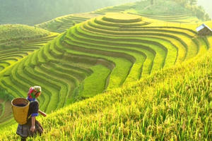 Tổng cục Du lịch sẽ đổi tên thành Cục Du lịch quốc gia Việt Nam