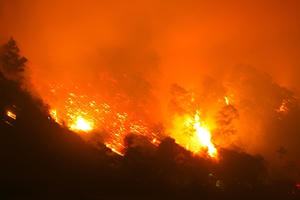 Lão nông bị phạt 90 triệu đồng vì đốt thực bì gây cháy rừng