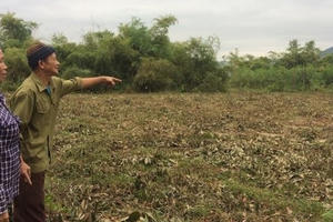 Bãi rác thải "chuẩn bị" được xây dựng cạnh trường mầm non có phù hợp hay không?