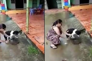 Bản tin Facebook ngày 23/9: Cộng đồng mạng phẫn nộ với clip chặt chân chó