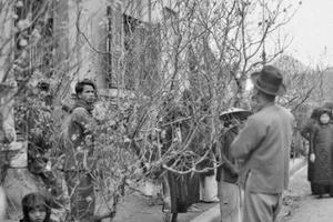 Hình ảnh cực hiếm về Tết Hà Nội cách đây 100 năm