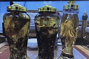 Quảng Ninh: Nghi uống rượu ngâm rễ cây rừng khiến 1 người tử vong