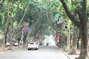 Có một Hà Nội thật khác sáng mùng 1 Tết