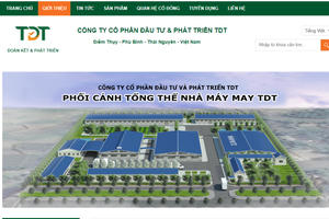 Công ty CP Đầu tư và Phát triển TDT bị xử phạt 100 triệu đồng