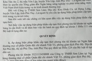 Vì đâu TAND huyện Yên Lập "vội vã" ban hành quyết định áp dụng biện pháp khẩn cấp tạm thời