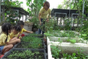 Đồng hành cùng thực phẩm sạch: Mô hình trồng rau sạch tại nhà Đồng hành cùng thực phẩm sạch: Mô hình trồng rau sạch tại nhà