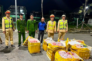Hòa Bình: Thu giữ gần 1 tấn nội tạng, thịt động vật không rõ nguồn gốc, đang phân huỷ