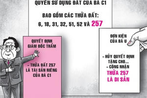 Dự thảo án lệ về hiệu lực hợp đồng tặng cho quyền sử dụng đất