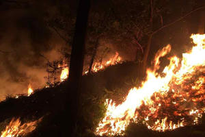 Quảng Ninh: Cháy rừng kéo dài, hàng trăm người được huy động khống chế "bà hoả"