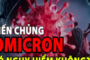 Biến thể omicron có nguy hiểm không?