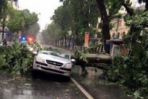 7 người chết và mất tích sau cơn bão số 1