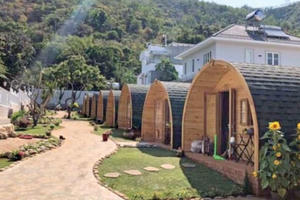 Thủ tướng yêu cầu xử lý một số thông tin báo nêu