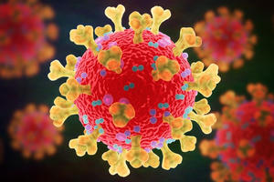 Số ca COVID-19 tại TP Hồ Chí Minh tăng nhẹ trong 4 tuần qua