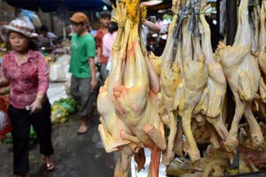 Bản tin Thị trường Plus: Săn "độc dược" giữa thủ đô