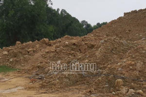 San lấp đất trái phép, Công ty TNHH Hoàng Mạnh Việt bị xử phạt hành chính