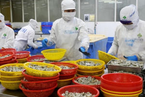 Cà Mau chủ động kết nối tiêu thụ nông, thủy sản, tìm đầu ra cho doanh nghiệp Cà Mau chủ động kết nối tiêu thụ nông, thủy sản, tìm đầu ra cho doanh nghiệp