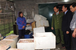 Hà Nam: Bắt quả tang gần 1,4 tấn lòng, bì lợn ngâm hóa chất