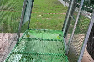 TP HCM: Chuồng thú từ tầng cao chung cư The Vista rơi thẳng xuống hồ bơi