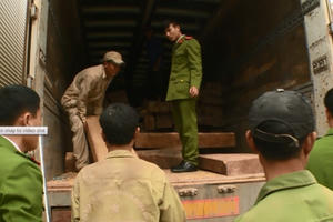 Phát hiện hơn 50m3 gỗ Đinh Hương ngụy trang trên 2 xe tải chở lúa, ngô