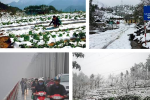 Thủ tướng ban hành Công điện về việc chủ động phòng, chống rét đậm, rét hại kéo dài dịp tết Nguyên đán