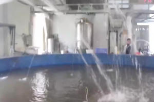 Về nơi cung cấp “phương tiện” cho Táo quân