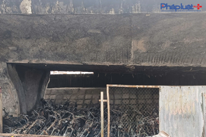 Cháy bãi xe dưới gầm cầu Vĩnh Tuy: Loại trừ nguyên nhân do con người tác động