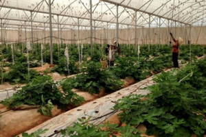 Hé lộ nguyên nhân cựu lãnh đạo Sở Khoa học và Công nghệ tỉnh Đồng Nai bị bắt